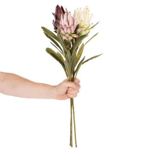 Kunstblume Protea Leucadendron 100 cm 3 pièces | Floristik24.fr
