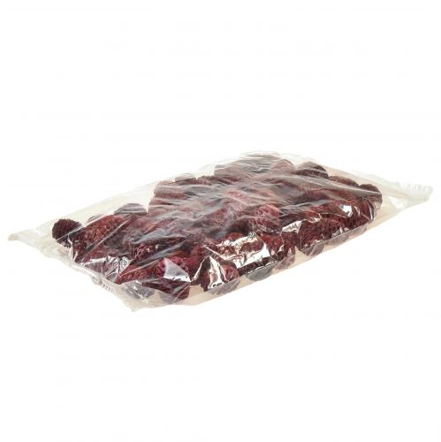 Article Cônes de Leucadendron Sabulosum en rouge givré 500g