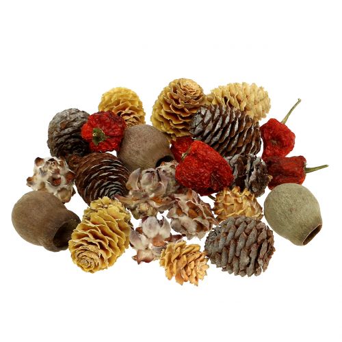 Floristik24 Mélange exotique de fruits secs et cornets naturels 500g