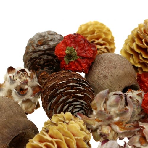 Floristik24 Mélange exotique de fruits secs et cornets naturels 500g