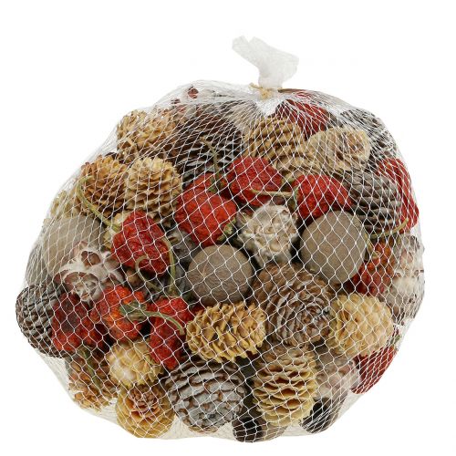 Floristik24 Mélange exotique de fruits secs et cornets naturels 500g