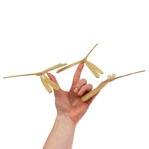 Floristik24 Libellule en bambou équilibrée 18cm x 16cm 4pcs