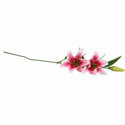 Floristik24 Lys Oriental &quot;Stargazer&quot; Blanc, Rose 86cm