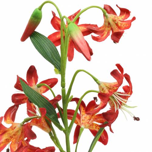 Lily Orange 82cm