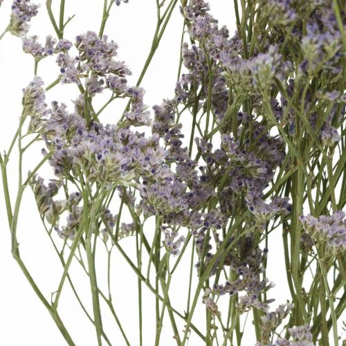 Floristik24 Fleurs séchées, Lavande de mer, Statice Tatarica, Lavande de mer, Limonium Violet L45–50cm 30g