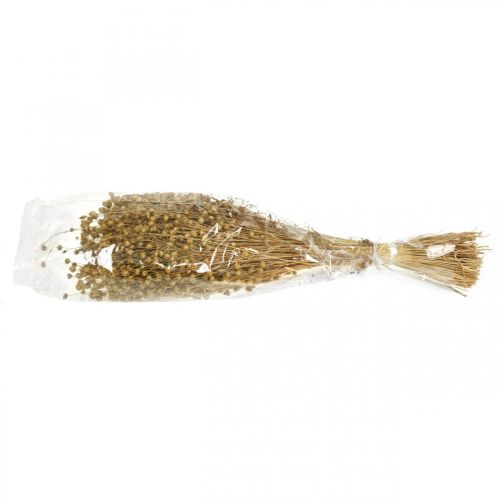 Floristik24 Lin naturel, graminées pour fleuristerie sèche, produit naturel Linum 160g