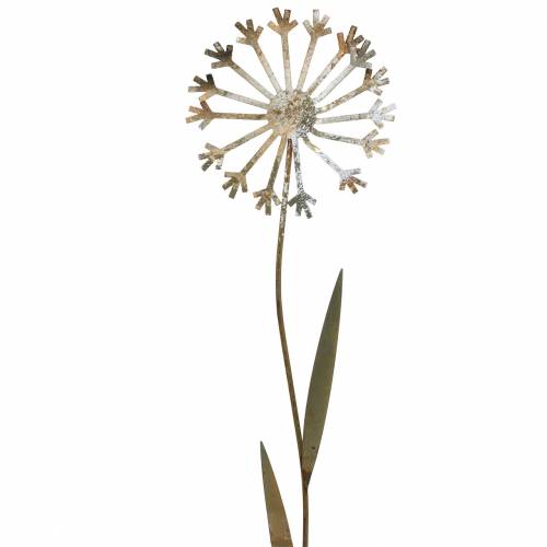 Floristik24 Bouchon de jardin pissenlit métal rouillé Ø10 H49cm