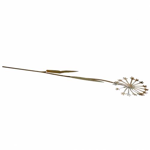 Floristik24 Bouchon de jardin pissenlit métal rouillé Ø10 H49cm