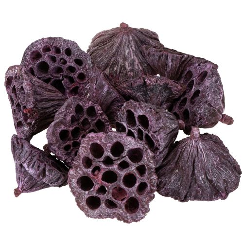 Article Capsules de lotus, fleuriste sèche, bulbe de lotus rose, blanc lavé 50 pièces