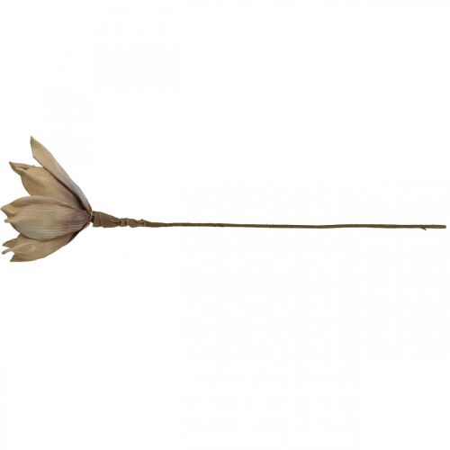 Floristik24 Fleur de lotus, décoration fleur de lotus, plante artificielle beige L66cm