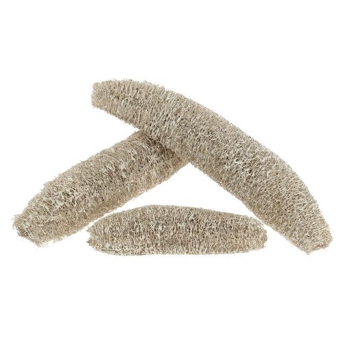 Article Luffa grand blanc lavé 20 pcs