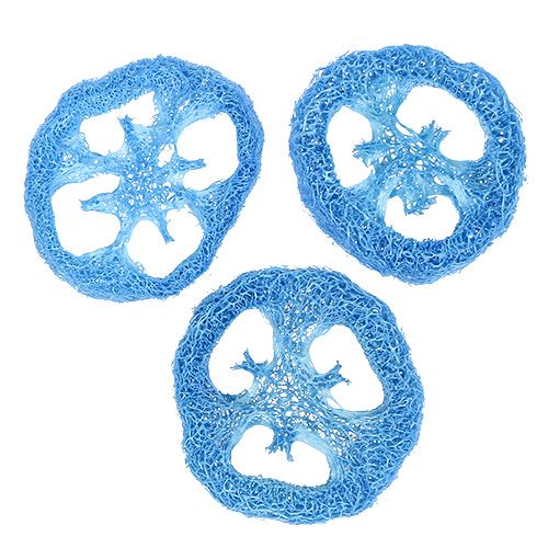 Tranches de luffa bleu ciel Loofah 25 p.