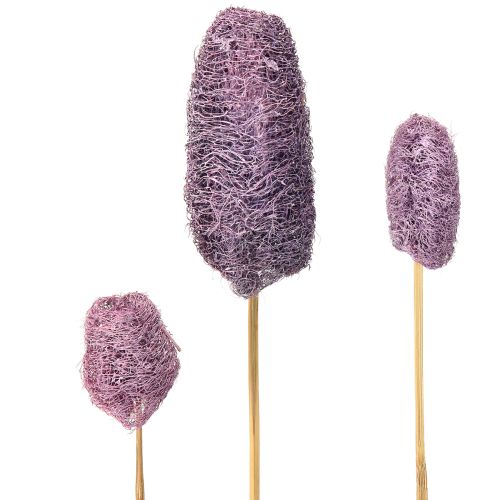 Luffa sur tige, petite baie décorative séchée 5-12 cm, 25 pièces