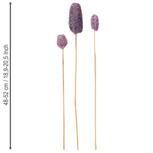 Article Luffa sur tige, petite baie décorative séchée 5-12 cm, 25 pièces