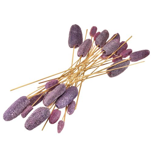 Article Luffa sur tige, petite baie décorative séchée 5-12 cm, 25 pièces