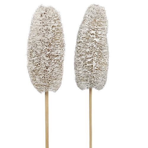 Article Luffa petit sur bâton blanchi à la chaux 25 pcs