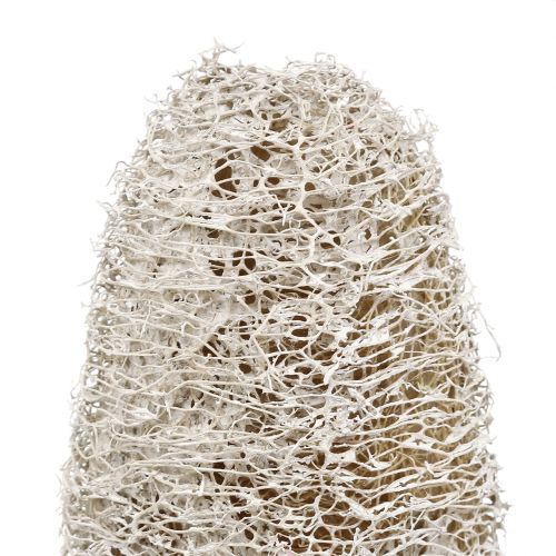 Floristik24 Luffa petit sur bâton lavé blanc 25pcs