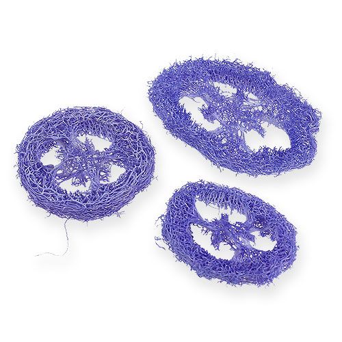 Floristik24 Tranches de luffa violet clair 25 p.