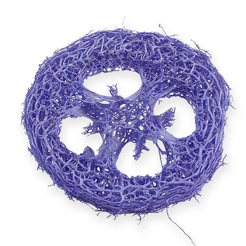 Floristik24 Disques Luffa violet clair 25 pcs