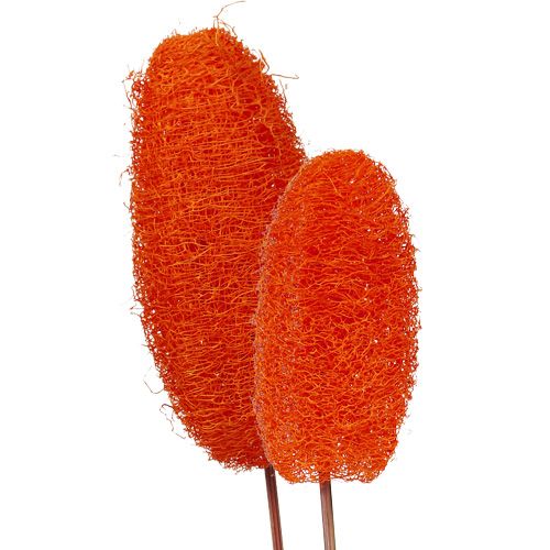 Luffa grand sur bâton orange 25pcs