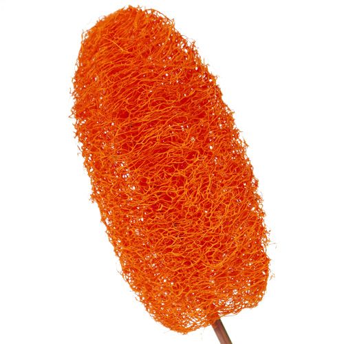 Article Luffa petit sur bâton orange 25 pcs