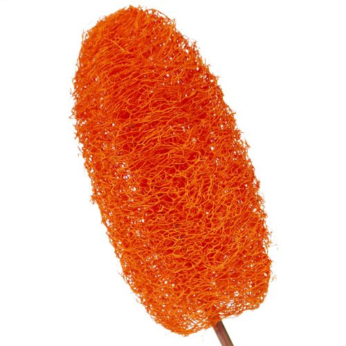 Article Luffa petit sur bâton Orange 25pcs