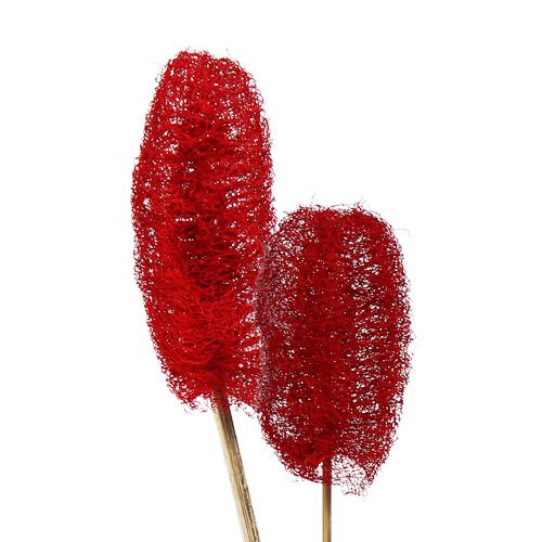 Luffa grand sur bâton Rouge 25pcs