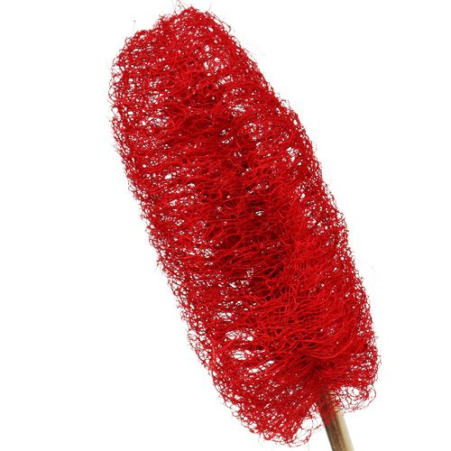 Article Luffa petit sur bâton rouge 25pcs