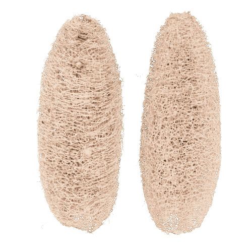 Article Luffa grand blanchi 20 pcs