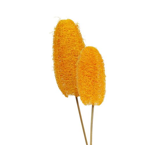 Floristik24 Luffa petit sur bâton jaune doré 25pcs