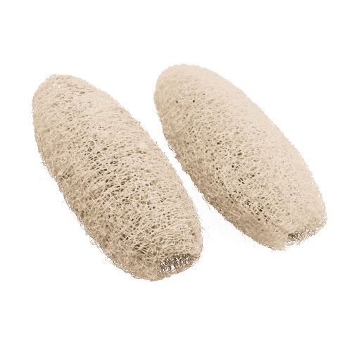 Floristik24 Luffa petit blanchi 50 pcs