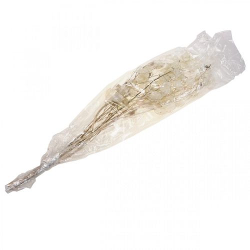 Article Lunaria fleurs séchées lune violette feuille d&#39;argent séchée 60-80cm 30g