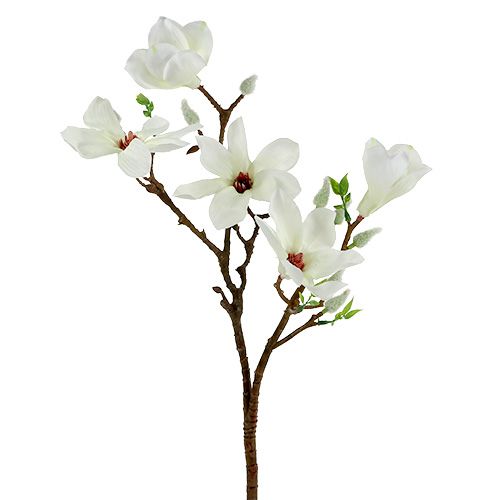Floristik24 Magnolia blanc 51cm 3pcs