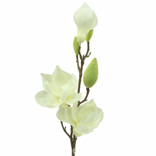 Floristik24 Magnolia Real Touch Blanc 70cm