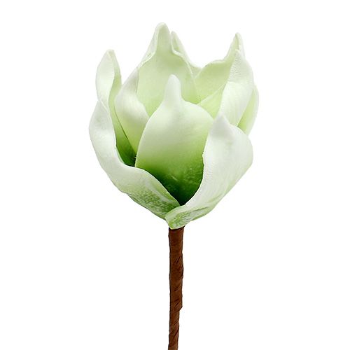 Floristik24 Fleur de magnolia en mousse blanc-vert Ø10cm L26cm 4pcs