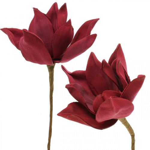 Floristik24 Magnolia Artificiel Rouge Fleur Artificielle Mousse Décoration Florale Ø10cm 6pcs