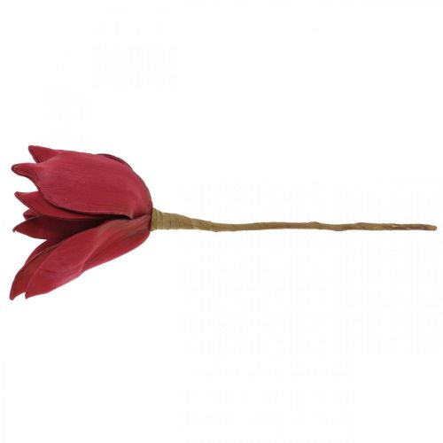Floristik24 Magnolia Artificiel Rouge Fleur Artificielle Mousse Décoration Florale Ø10cm 6pcs
