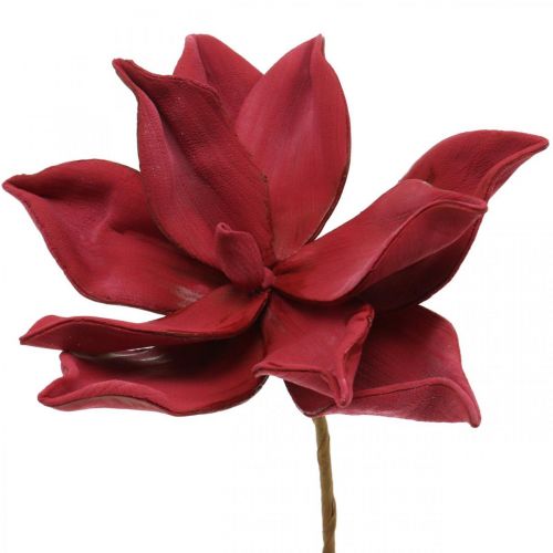 Floristik24 Magnolia Artificiel Rouge Fleur Artificielle Mousse Décoration Florale Ø10cm 6pcs