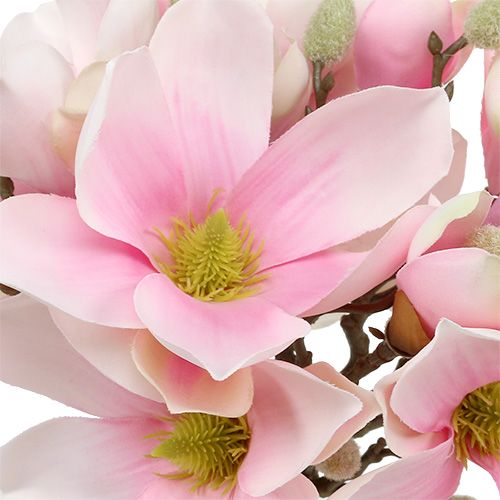 Floristik24 Bouquet de magnolia rose 40cm 5pcs