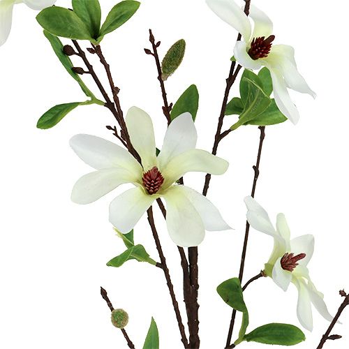 Article Branche de magnolia blanc-vert 94cm