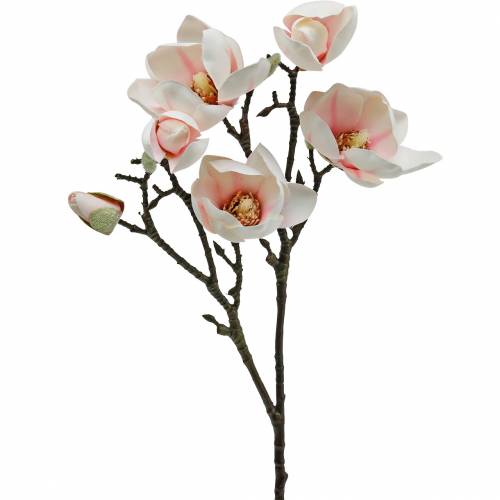 Floristik24 Branche de magnolia Fleurs de soie de magnolia artificielles roses