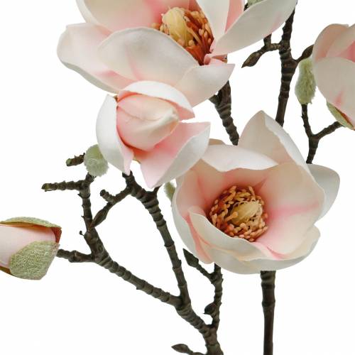 Floristik24 Branche de magnolia Fleurs de soie de magnolia artificielles roses
