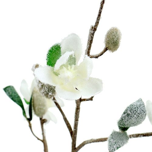 Article Branche de magnolia blanc L 82cm avec neige