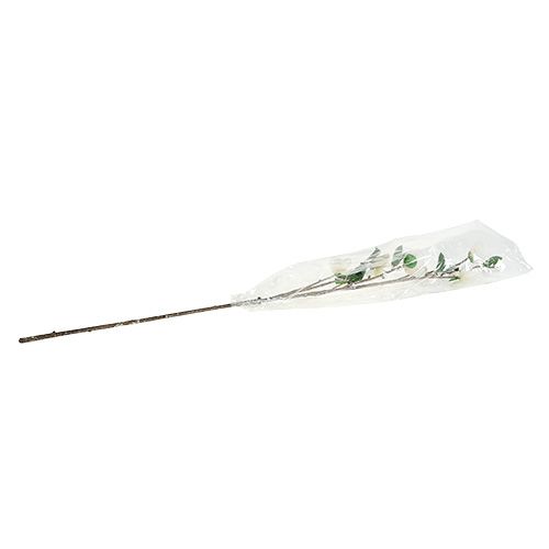 Floristik24 Branche de magnolia blanc L 82cm avec neige