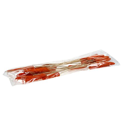 Article Épis de maïs sur bâtonnets orange 20 pcs