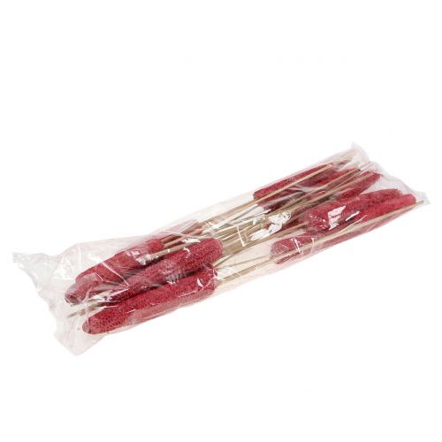 Article Épis de maïs sur bâton rouge, lavés en blanc 20 pcs