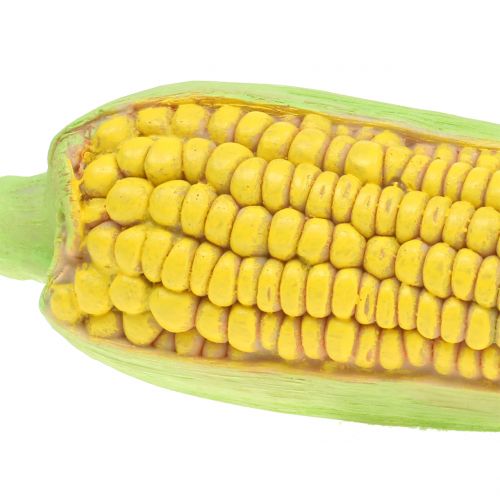 Floristik24 Maïs en épi légumes art 20cm