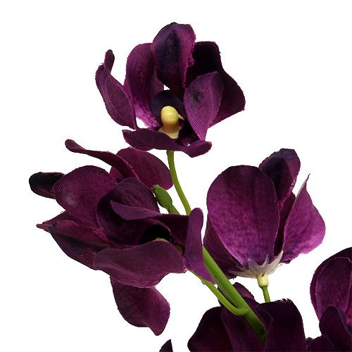 Article Orchidée Mokara violette 50cm artificielle 6pcs