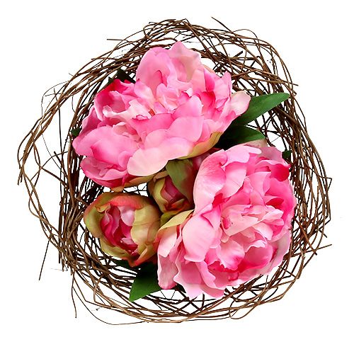 Floristik24 Support naturel en sarments de vigne Ø 20 cm 8 p.