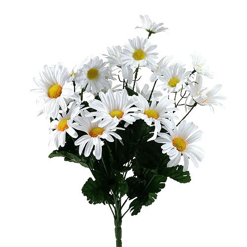 Floristik24 Bouquet de marguerites blanc 45cm